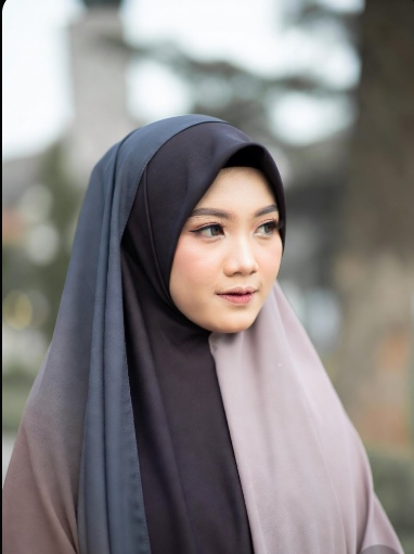 hijab hijab পর্দাশীল মেয়েদের পিক