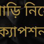 শাড়ি নিয়ে ক্যাপশন